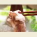 画像4: 北海道留寿都村産 ルスツポーク バラ しゃぶしゃぶ用(仕切り入り) 500g