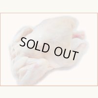 北海道中札内村産 田舎どり 丸鶏 1羽(約1.1kg)