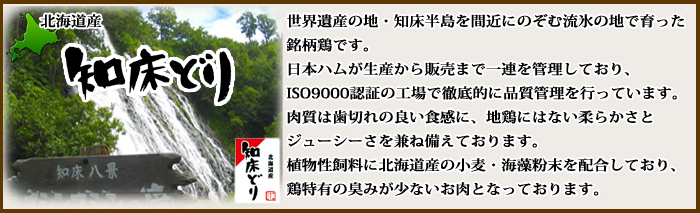 北海道産　知床どり