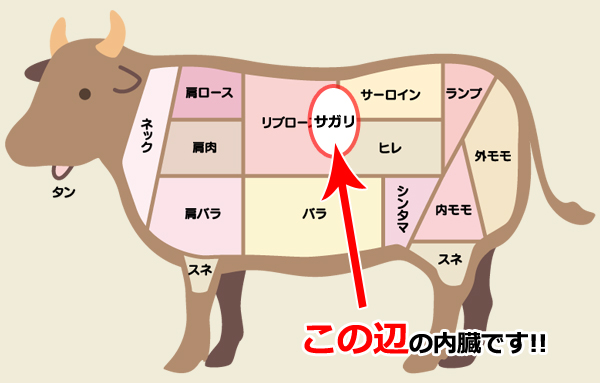 北海道産 牛サガリすじ 180g 北海道4129屋さん