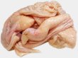 画像1: 北海道産 ホワイトチキン 鶏皮 2kg (1)